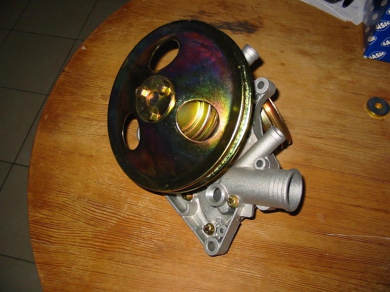 bichro3.jpg